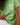 Ace Short Sleeve Oversized T-shirt - Kiwi Green/Marshmallow White