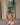 Varsity Sweat Shorts - Eden Green/Marshmallow White
