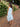 Harlow Tiered Midi Dress