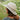 Sun Haven Hat - SALE