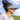 Sunward Visor - SALE